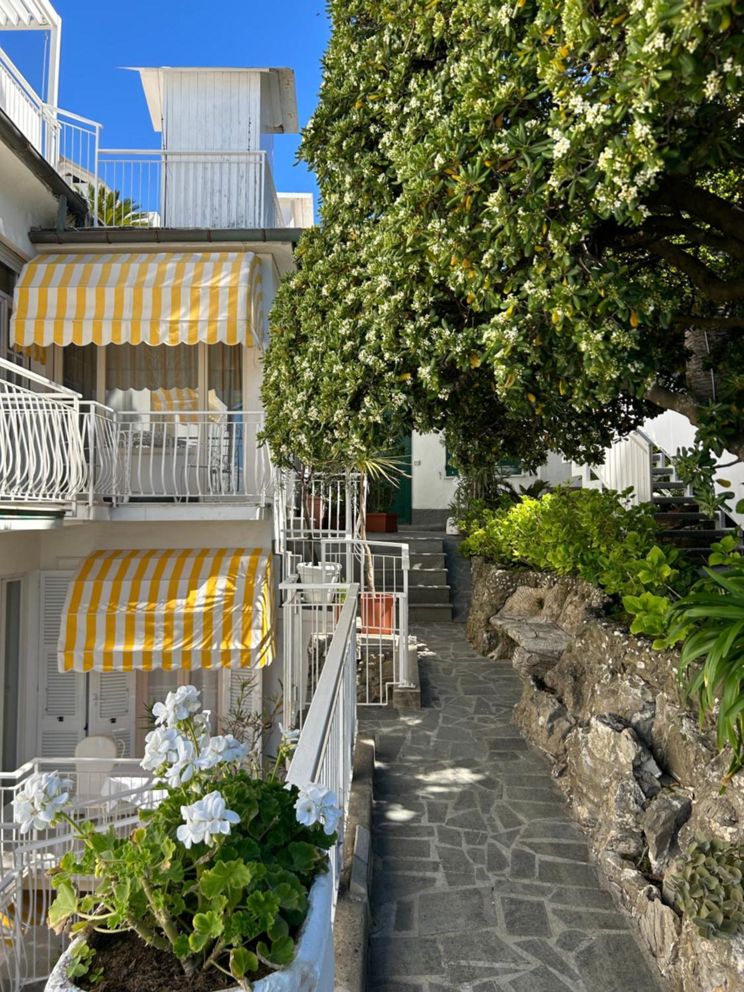 Hotel Helvetia Sestri Levante Exterior photo
